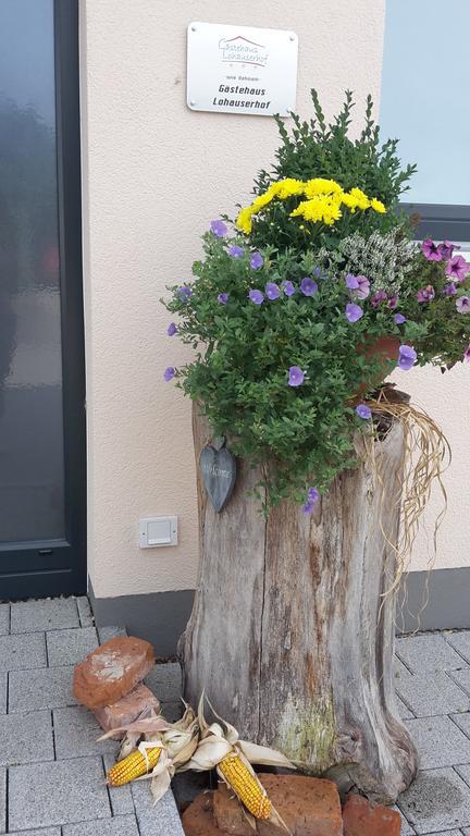 Lohauserhof - Biohof Und Hotel Rohrmoos Luaran gambar